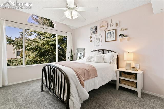 4725 Rustler Court