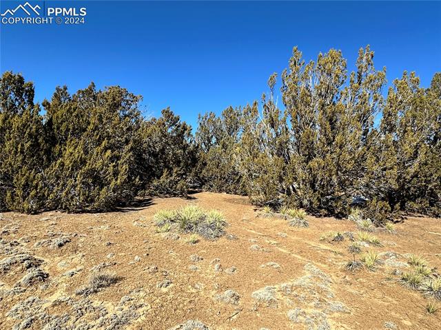Lot 606 Pico Del Questa