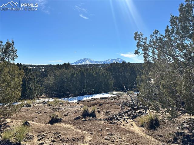 Lot 606 Pico Del Questa