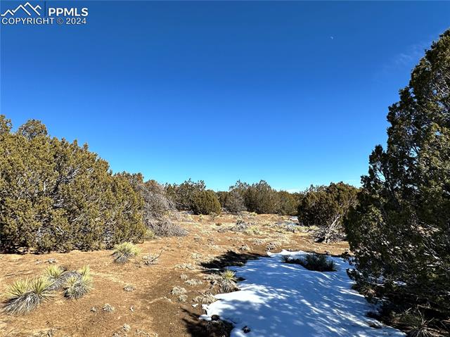 Lot 606 Pico Del Questa