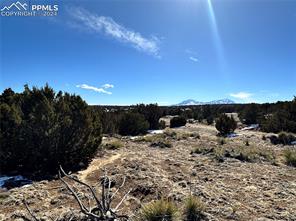 Lot 606 Pico Del Questa