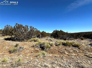 Lot 606 Pico Del Questa