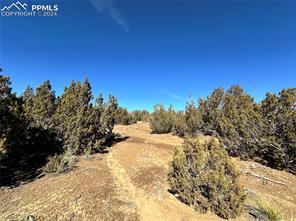 Lot 606 Pico Del Questa