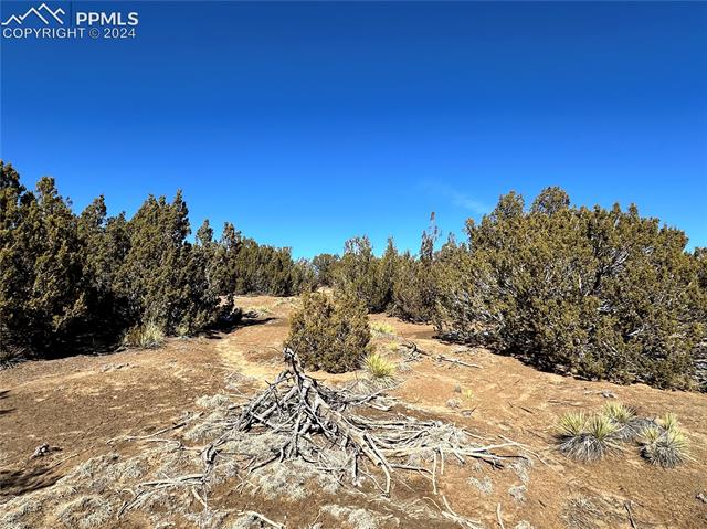Lot 606 Pico Del Questa