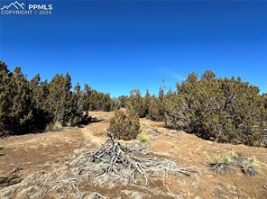 Lot 606 Pico Del Questa