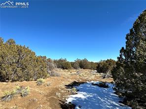 Lot 606 Pico Del Questa