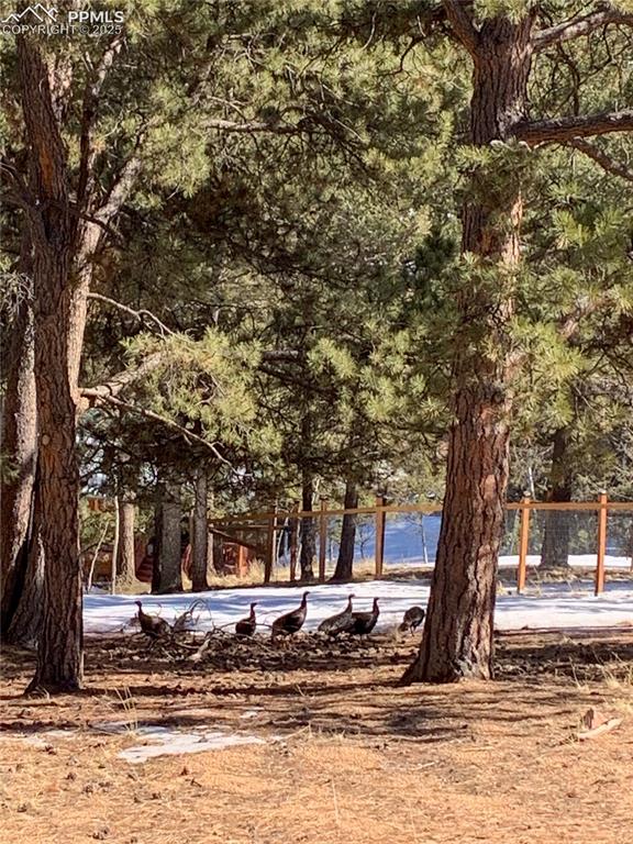 46 Barr Lake Circle