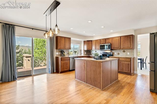 16230 Windsor Creek Drive