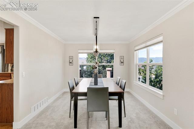 16230 Windsor Creek Drive