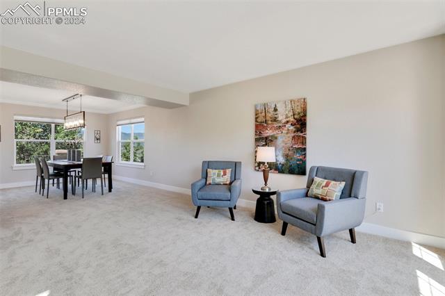 16230 Windsor Creek Drive