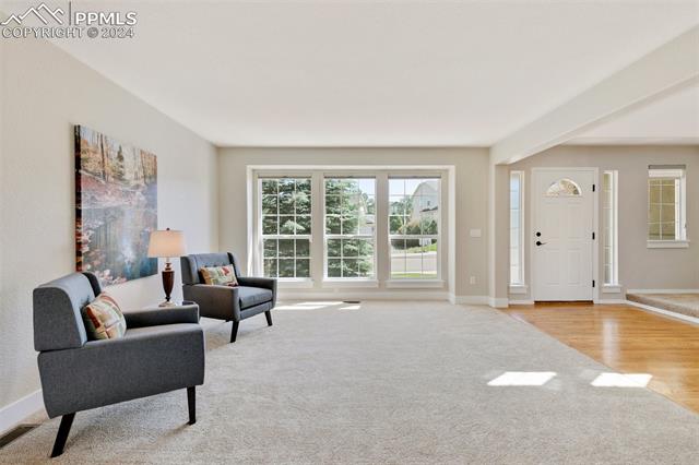 16230 Windsor Creek Drive