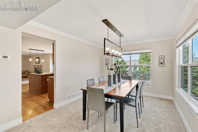 16230 Windsor Creek Drive