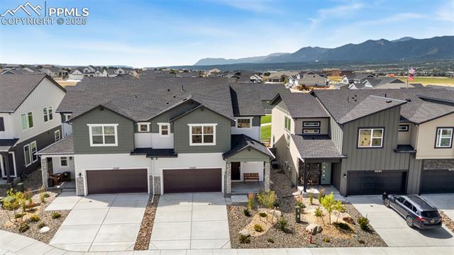 17627 Lemon Rye Loop