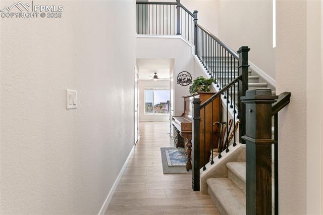 17627 Lemon Rye Loop