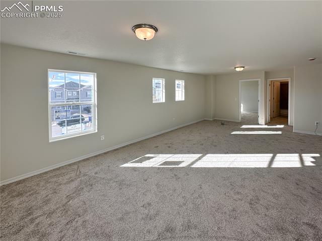 8237 Sophia Lane