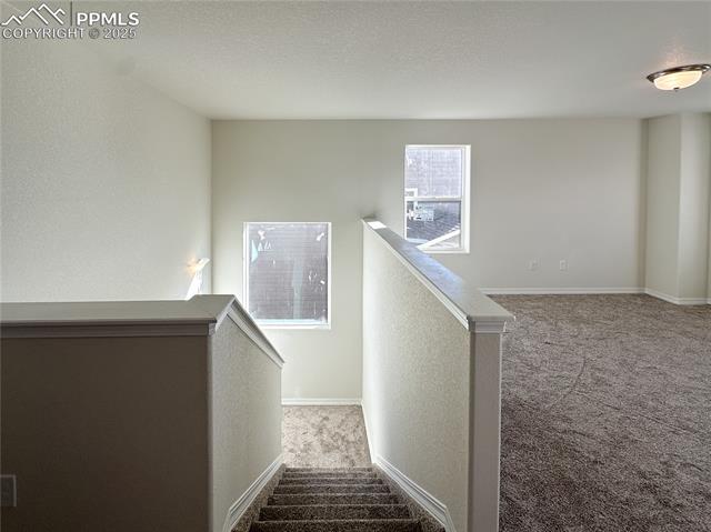 8237 Sophia Lane