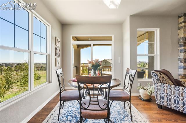 11134 Lobo Peak Drive