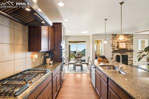 11134 Lobo Peak Drive