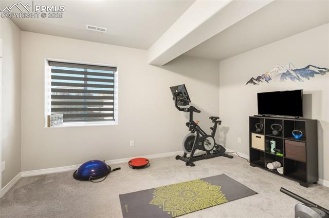11134 Lobo Peak Drive