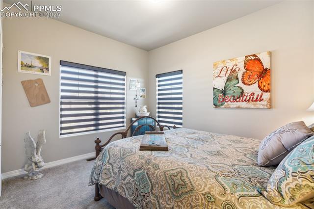 11134 Lobo Peak Drive