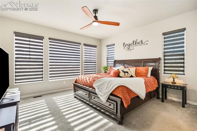 11134 Lobo Peak Drive