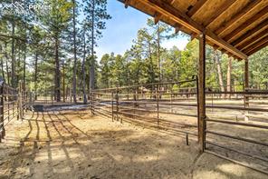 12225 Glenridge Lane