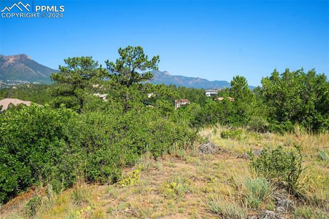 7345 Woodmen Mesa Circle