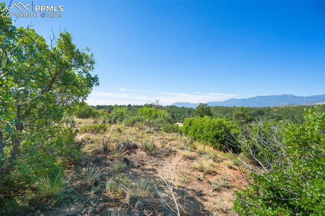 7345 Woodmen Mesa Circle