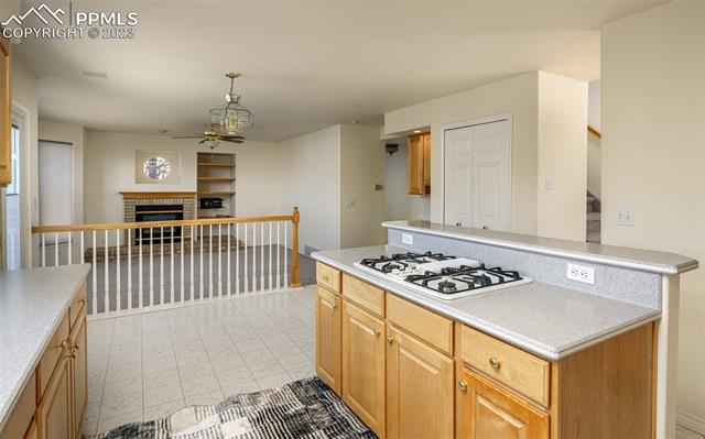 1580 Bison Ridge Drive