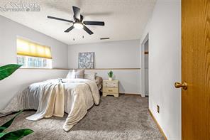 15845 Roller Coaster Road