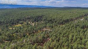 15845 Roller Coaster Road