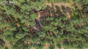 15845 Roller Coaster Road