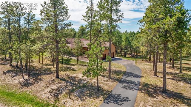 15664 Pole Pine Point