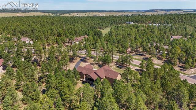 15664 Pole Pine Point