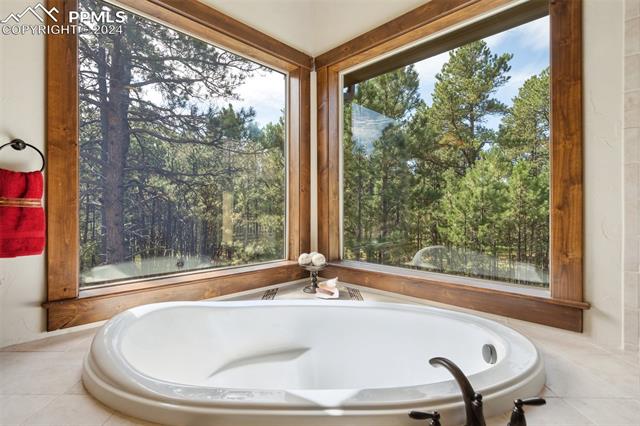 15664 Pole Pine Point