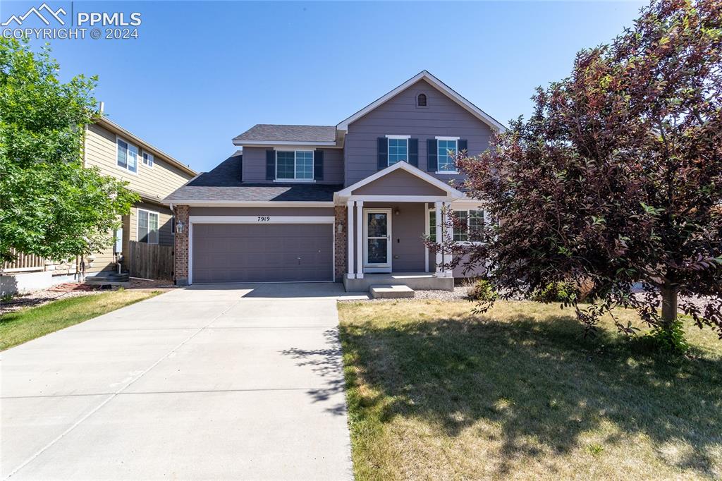 7919 Irish Drive