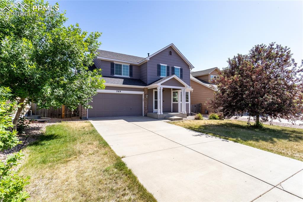 7919 Irish Drive