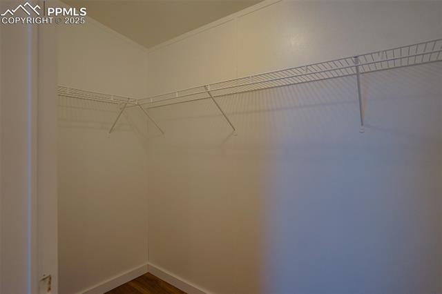 2550 County Road 524