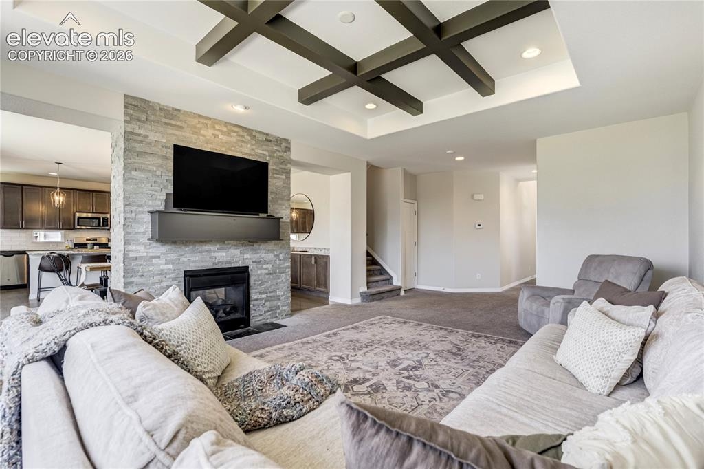 7664 Alpine Daisy Drive
