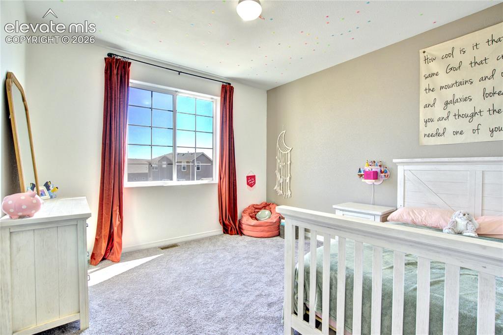 7664 Alpine Daisy Drive