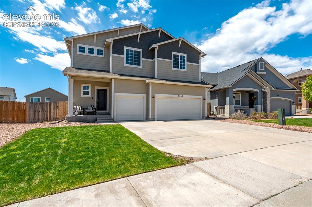 7664 Alpine Daisy Drive