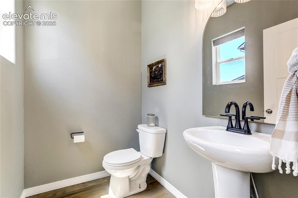 7664 Alpine Daisy Drive