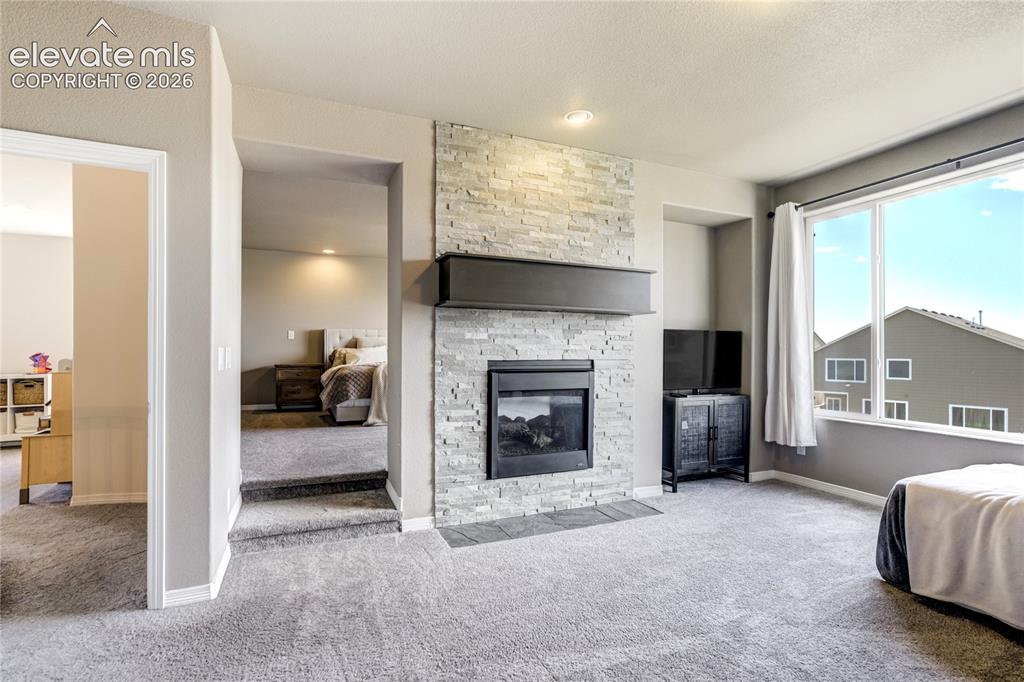 7664 Alpine Daisy Drive
