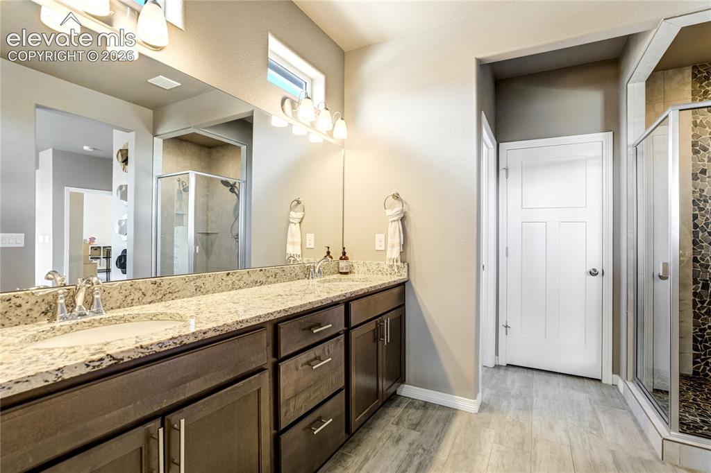 7664 Alpine Daisy Drive