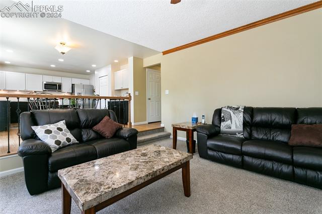 4415 Coralberry Lane