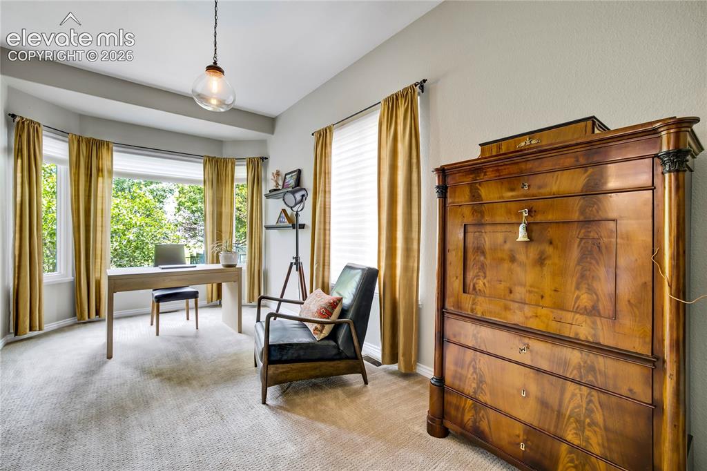 10127 Palisade Ridge Drive