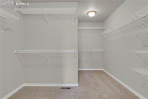 6904 Thorn Brush Way