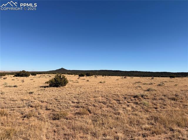 201 Greenhorn Village