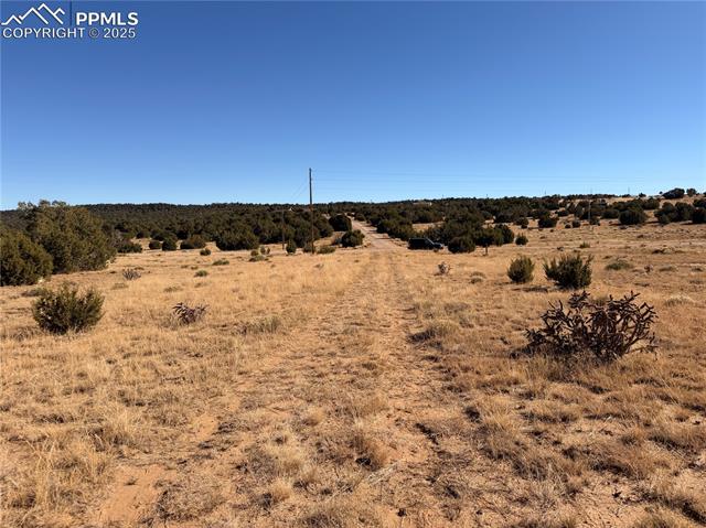 201 Greenhorn Village