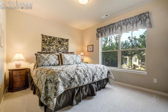 8396 Snow Cap View